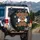 Cheerful Puppy Bone Paw Prints - Vehicle Decor Gift for Dog Lover Spare Tire Cover - 3
