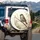 House Sparrow Perched Branch Outdoor Scene Wildlife Lover Gift for Bird Watcher Spare Tire Cover - 3
