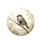 House Sparrow Perched Branch Outdoor Scene Wildlife Lover Gift for Bird Watcher Spare Tire Cover - 4
