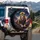 Lion Galaxy Nebula Deep Space Stars Rugged Terrain - Wildlife Lover Gift Spare Tire Cover - 3