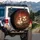 Cartoon Chicken Sloth Steering Wheel Mud Splatters - Off-Road Adventure Gift Spare Tire Cover - 3