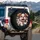 Wide-Eyed Floppy Ear Spotted Puppy - Pet Lover Gift Spare Tire Cover - 3