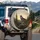 Gray Wolf Rocky Forest Autumn Foliage - Wildlife Lover Gift for Wolf Lovers Spare Tire Cover - 3