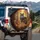 Majestic Gray Wolf Golden Eyes Autumn Foliage Forest Floor Scene - Wildlife Lover Gift Spare Tire Cover - 3