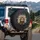 Curious Wide-Eyed Tabby Cat, Luminous Amber Eyes, Torn Dark Background - Cat Lover Gift Spare Tire Cover - 3