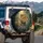 Leopard Golden Eyes Tropical Jungle - Wildlife Lover Gift Spare Tire Cover - 3