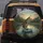Largemouth Bass Dragonfly Leaping Freshwater Lake Lily Pads Sky - Wildlife Lover Gift Spare Tire Cover - 5