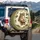 Comical Wide-Eyed Cartoon Horse Mouth Open - Vehicle Accessory Gift for Horse Lover Spare Tire Cover - 3