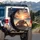 Sea Turtle Beach Sunset Tropical Palm Fronds - Ocean Lover Travel Gift Spare Tire Cover - 3