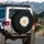 White Daisy Yellow Stamen Dark Botanical Leaves Organic Forms - Garden Lover Gift Spare Tire Cover - 3