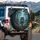 Powerful Grey Wolf Orange Eyes Deep Mystical Forest Path - Wildlife Lover Gift Spare Tire Cover - 3