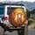 White Zebu Cow Floral Crown - Home Decor Gift for Cow Lover Spare Tire Cover - 3