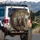 Laughing Donkey Trio Rustic Barn Countryside - Farmhouse Decor Gift for Donkey Lovers Spare Tire Cover - 3