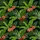 duiyfppz/products/6a13c4b5cd5a5c14b8fced65/gallery/-fIruAarzj