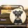 Miniature Schnauzer Portrait Black Bow Tie - Dog Lover Home Decor Gift Spare Tire Cover - 2
