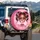 Princess Girl Bubblegum Pigtails Pink Bows Princess Lover Gift Spare Tire Cover - 3