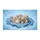 duiyfppz/products/6a13ca142d695460f1f69e47/gallery/JioPSefwxP