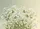 duiyfppz/products/6a13cd795d3089442fad6579/gallery/jcfAzQh9L9