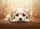 duiyfppz/products/6a13cfeb80d7ebc6eefb8160/gallery/Nv632aHhHD