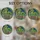 duiyfppz/products/6a13d10574bc0777e3100afa/gallery/NXGSboAdtk