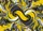 duiyfppz/products/6a13d23ed6643c9a521d25bf/gallery/Q8_or8XDD_
