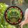 duiyfppz/products/6a13d37dd8d2c2e54b75b2a6/gallery/MxK-Q6Hxt4