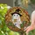 duiyfppz/products/6a13d4345d30893774ad7753/gallery/brtE6PSLl0