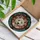 duiyfppz/products/6a13d46885f7c92f43569772/gallery/oQdYWHazOW