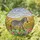 duiyfppz/products/6a13d5168fd7f227d7b74d16/gallery/WwfoX9HuV3