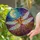 duiyfppz/products/6a13d73a80d7eb9d81fb9822/gallery/iraFPYzC5B
