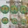 duiyfppz/products/6a13d819d6643c699b1d33d3/gallery/6b0qK-_jTR