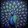 duiyfppz/products/6a13d8afcd5a5c422afd23f3/gallery/5nWTDCdC4_