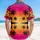 duiyfppz/products/6a13d8e58fd7f29ae4b758de/gallery/pkFc6Ichvr