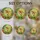 duiyfppz/products/6a13dfb580d7eb62fdfbb91f/gallery/t6Zrt6eQKJ