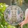 duiyfppz/products/6a13e20fd6643c28161d63a7/gallery/VLKgwuXEy7