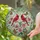 duiyfppz/products/6a13e3a9d6643cb4f71d6837/gallery/br8NR3DCmj