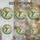 duiyfppz/products/6a13e8aad8d2c2e09375fe80/gallery/xsYYGdWXGp