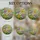 duiyfppz/products/6a13e90fd6643c39e61d7a12/gallery/5mHDoGo90p