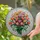 duiyfppz/products/6a13eafbaed90e3543977e05/gallery/v9kEoLNx4R