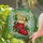duiyfppz/products/6a13eda6d8d2c268a476094d/gallery/WUv3QvHEH9