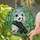 duiyfppz/products/6a13efa780d7ebaa95fbda40/gallery/N6THnOL8SG