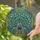 duiyfppz/products/6a13f43c80d7eb1bd5fbe917/gallery/iCs39MJhY8