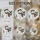 duiyfppz/products/6a13f49cd6643c19bf1d9a6b/gallery/mT73GVlAOi