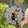duiyfppz/products/6a13f54bcd5a5c1995fd7eed/gallery/PjK-naDjzM