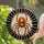 duiyfppz/products/6a13f56b1c3a4ba58aad50cf/gallery/GZvu4ROeiH