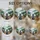 duiyfppz/products/6a13f795aed90e5cdf97a4dd/gallery/pqXg5YO7mZ