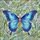 duiyfppz/products/6a13f9bbaed90ed94297ab4d/gallery/7CwIEdEVQv