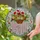 duiyfppz/products/6a13f9fe5e2845329849576d/gallery/EiYq4hor72