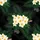 duiyfppz/products/6a13fd262d6954b946f73d9e/gallery/zMVQ5RaQna