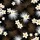 duiyfppz/products/6a13ff3e6a1feb4a7f79375c/gallery/E7i8XRk8dN